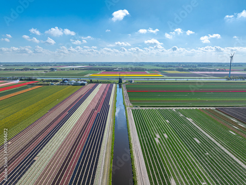 Obraz na płótnie Holland Tulpen w salonie