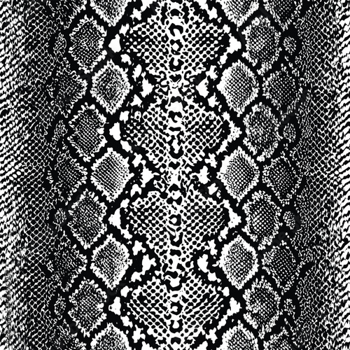 Monochrome Snake Skin Seamless Design