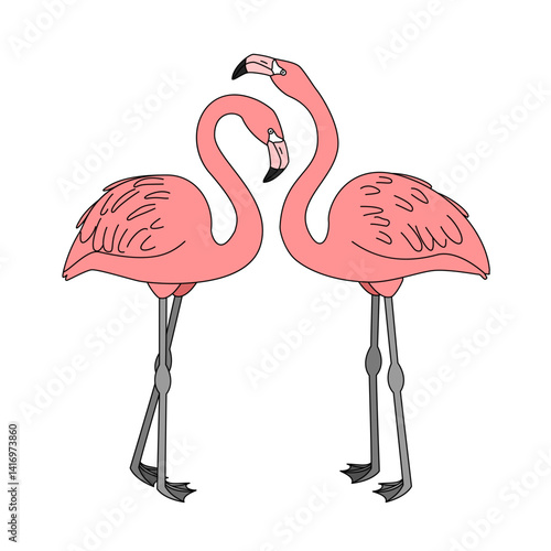 vector pink flamingo birds animal clip art isolated on transparent background. Hand drown design element. 