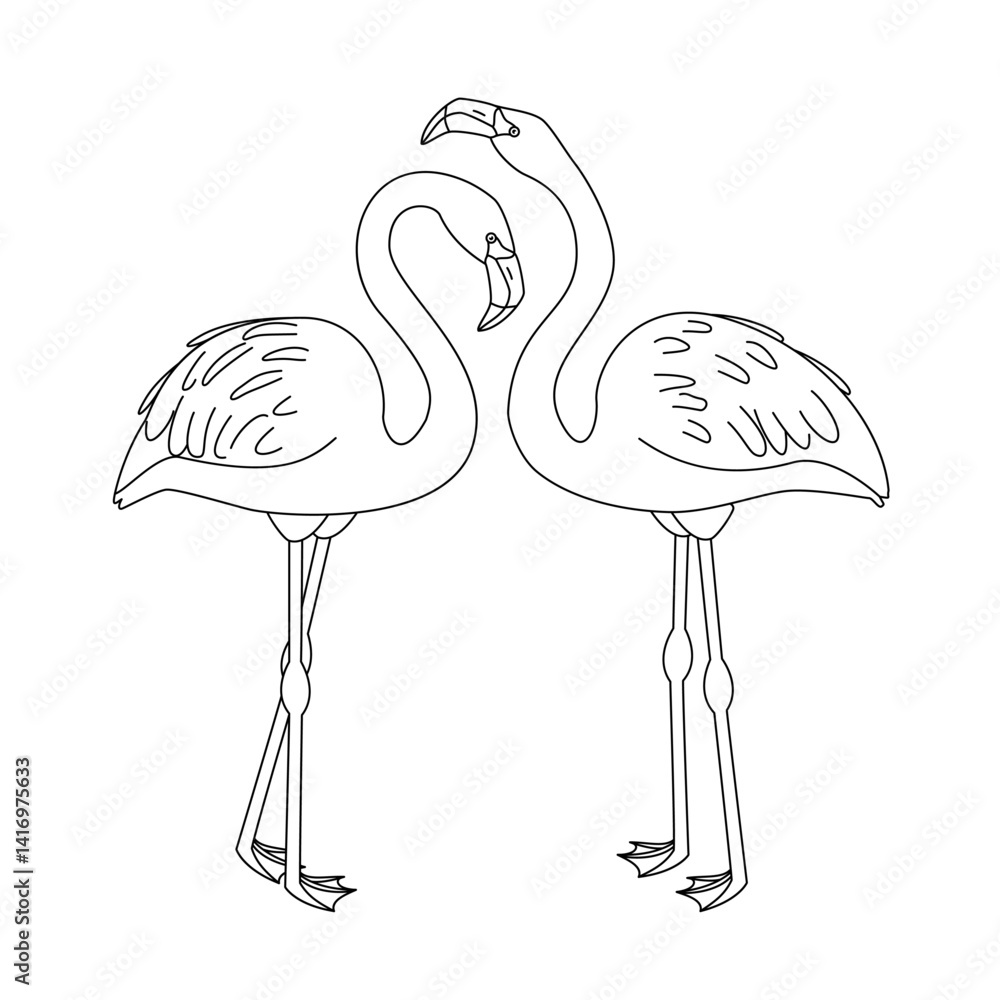 Obraz premium vector pink flamingo birds animal. Cartoon black and white clip art isolated on transparent background. Hand drown design element. Coloring book page 