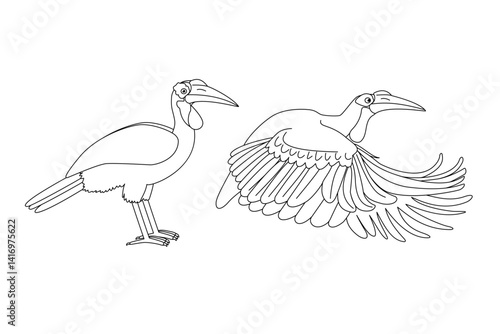 vector Southern ground hornbill birds animal. Cartoon black and white clip art isolated on transparent background. Hand drown design element. Coloring book page
