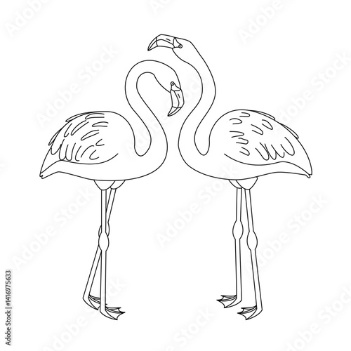 vector pink flamingo birds animal. Cartoon black and white clip art isolated on transparent background. Hand drown design element. Coloring book page
