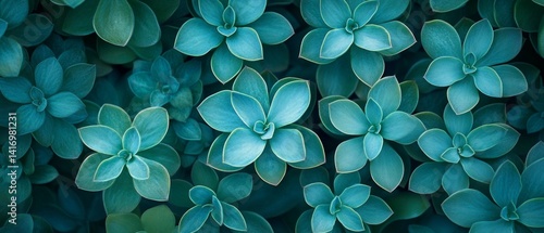 Obraz na płótnie Abstract background with blue leaves texture, ideal for packaging design, background of a website or blog related to nature and ecology. w salonie
