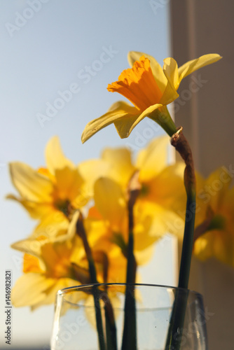 yellow flower in a vase