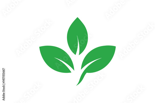 green leaves on white background