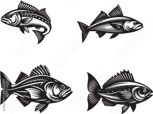 Cod Fish Vector Illustration – Atlantic Marine Seafood Design