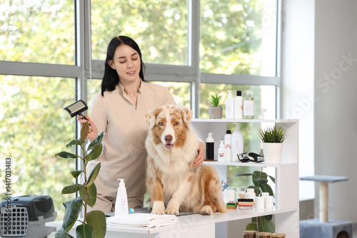 Female groomer with brush a...