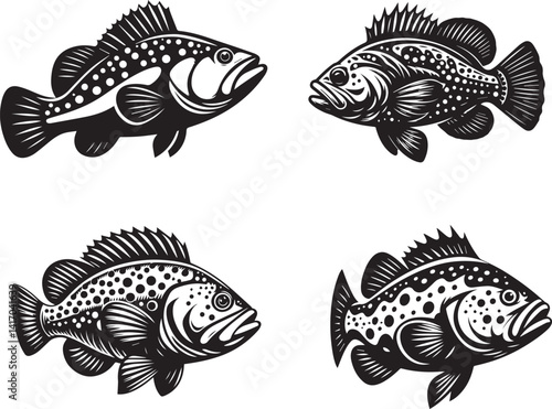 Grouper Fish Vector Illustration – Bold Tropical Sea Fish Design