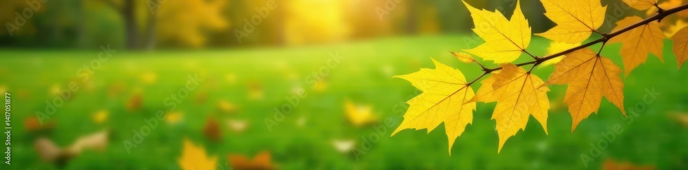 Branch with vibrant yellow autumn leaves fallen onto a green grassy lawn , still life, season Branch with vibrant yellow autumn leaves fallen onto a green grassy lawn , still life, season