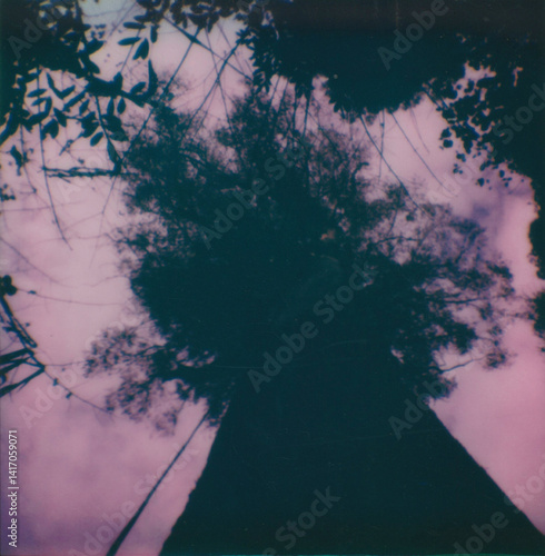 grunge background with tree and clouds