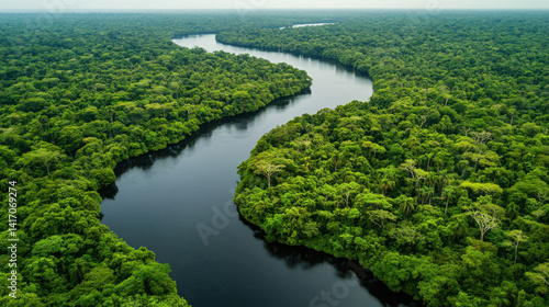 A panoramic aerial view of an untouched forest with vibrant green trees and a flowing river