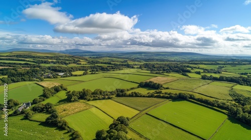 Obraz na płótnie Green Fields. Aerial View of Rural Welsh Farmlands from Up High w salonie