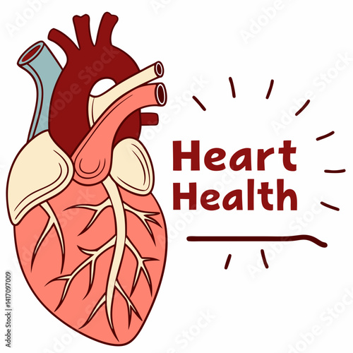 Anatomical Heart Illustration Representing Cardiology And Heart Health Awareness