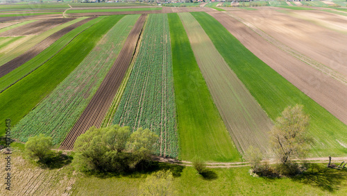 Obraz na płótnie drone view over countryside patchwork fields w salonie