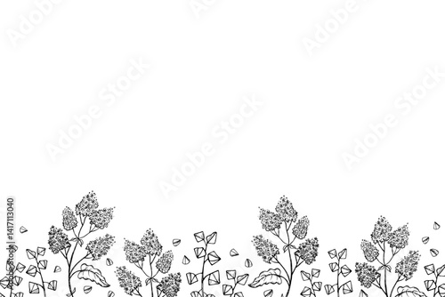Vector banner with Buckwheat plant sketch for text. Hand drawn engraved background with buckwheat branch, seeds, fruits. Design card for grain harvest, agriculture, food, carbohydrate, porridge, tea