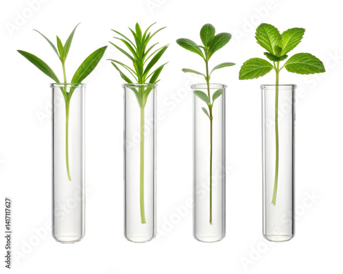 test tube with green plant isolated PNG