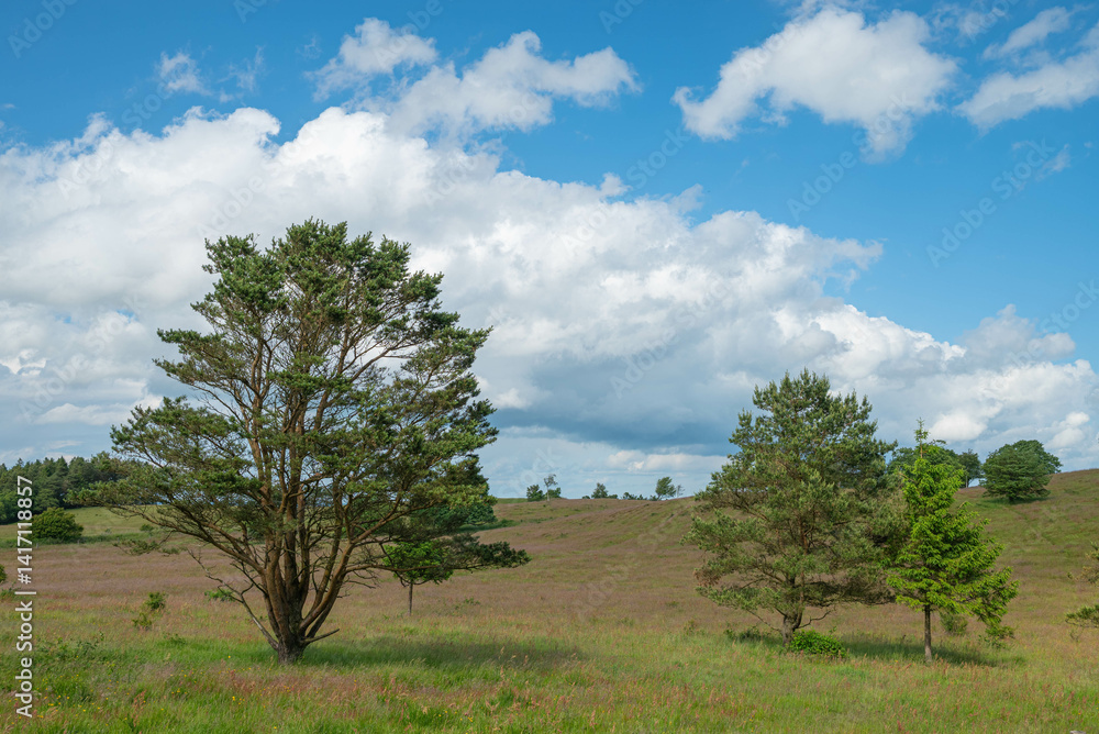 Beautiful nature of Mols Bjerge National park in Denmark Beautiful nature of Mols Bjerge National park in Denmark