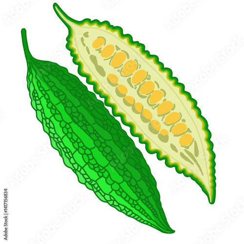 A vibrant illustration showcases a whole bitter melon and a halved bitter melon