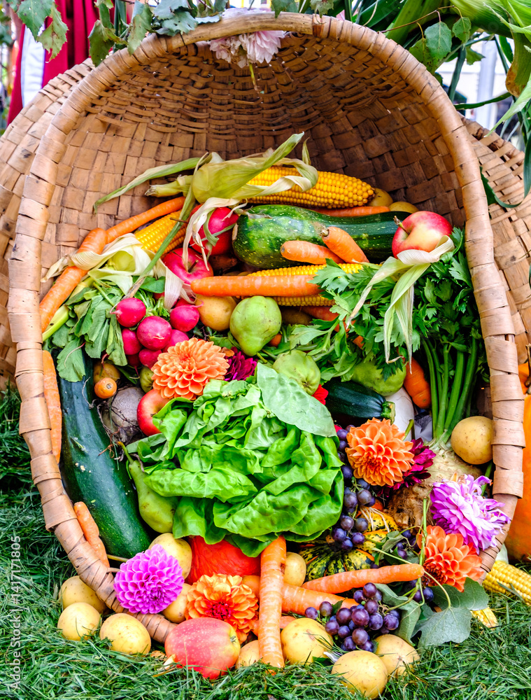 custom made wallpaper toronto digitalColorful display of fresh vegetables and flowers in a woven basket at an outdoor market during a sunny afternoon