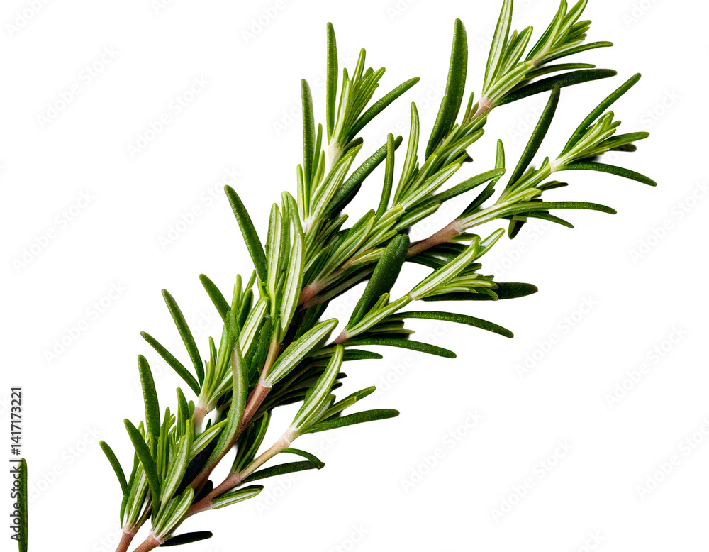 Fototapeta premium Rosemary isolated on white background, Top view, generative ai