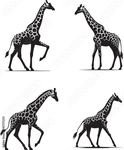 Jabari Giraffe Vector Illustration     Bold and Charming Safari Animal Character