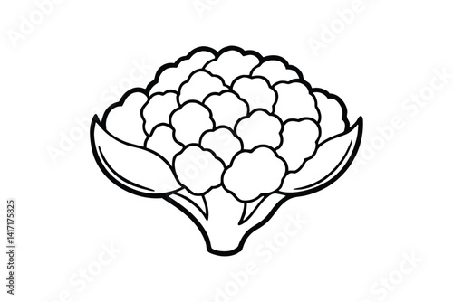 Line art drawing of a cauliflower floret.eps