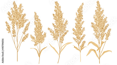 Beige Wheat Grass Floral Illustration on White Background