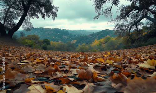 Autumn landscape with fallen leaves, rolling hills, and overcast sky showcasing vibrant fall colors.