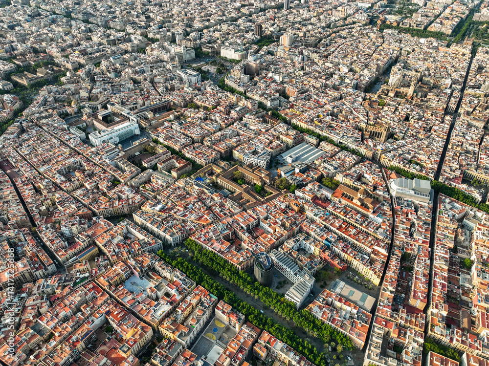 Obraz premium Elevated cityscape of Barcelona?s historic center and museums