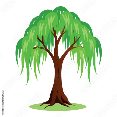 A willow tree vector illustration-on-white background.  