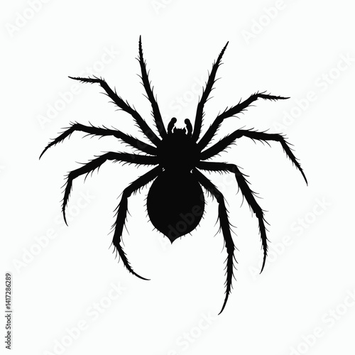 Black spider silhouette with hairy legs on white