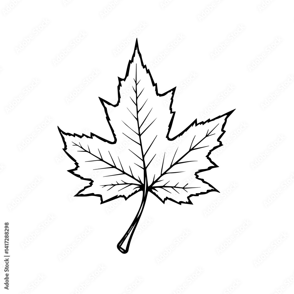 Outline of a Maple Leaf in Black and White Outline of a Maple Leaf in Black and White