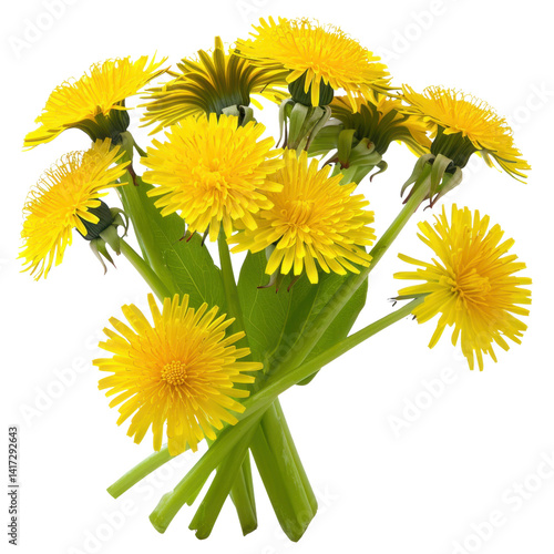 Obraz na płótnie Bright yellow dandelion flowers arranged in bouquet, showcasing their vibrant petals and green leaves. This cheerful display brings sense of joy and nature beauty to any setting w salonie