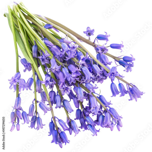 beautiful bouquet of bluebell flowers, showcasing vibrant purple hues and delicate petals, perfect for adding touch of nature beauty to any setting