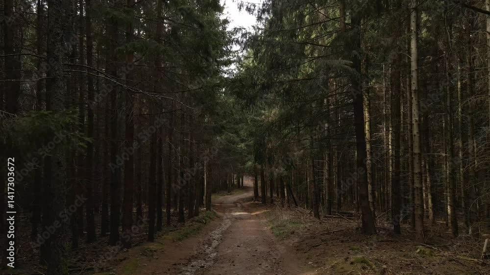 A narrow dirt path winds through a dense pine forest, enveloped in a dark and moody atmosphere. The towering trees create a natural tunnel, with minimal light filtering through the thick canopy above A narrow dirt path winds through a dense pine forest, enveloped in a dark and moody atmosphere. The towering trees create a natural tunnel, with minimal light filtering through the thick canopy above
