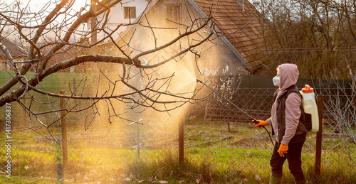 Tableau sur toile Woman spraying fungicides on a flowering fruit tree against plant and pest diseases