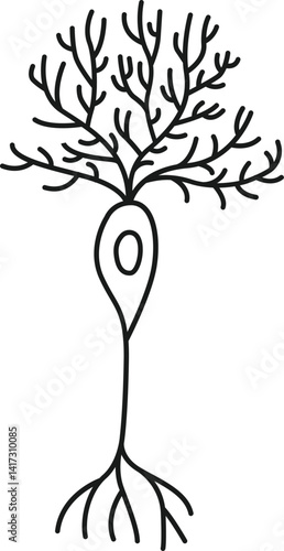 Purkinje neuron Vector Illustration Outline