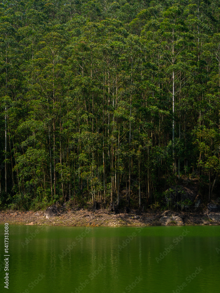 Obraz premium Beautiful lake and lust green forest of Periyar National Park and Wildlife Sanctuary from Kerala, India.