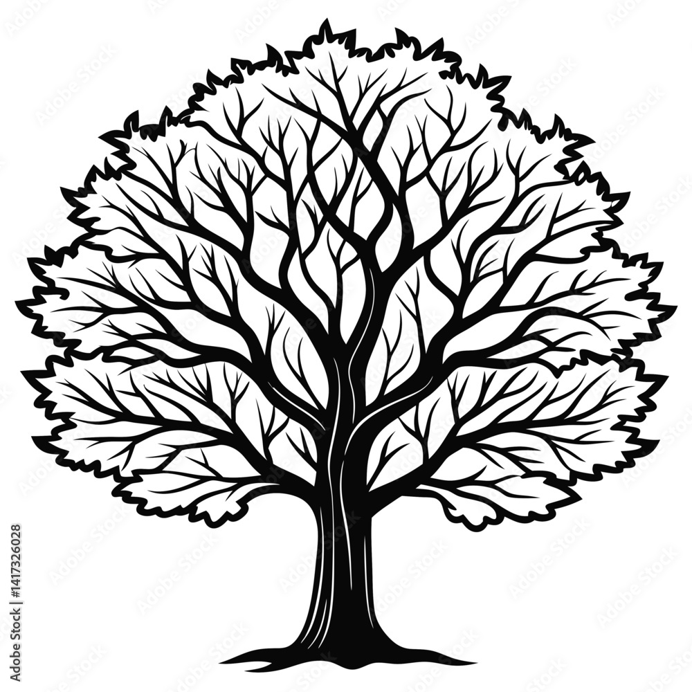 Obraz premium Bold Bradford Pear Tree Illustration on White Background