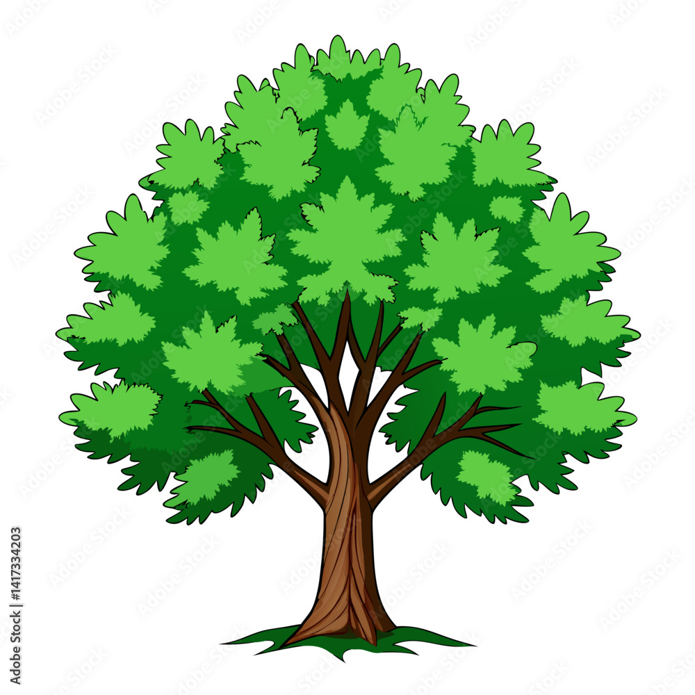 Fototapeta premium Bold Hedge Maple Tree Illustration Design