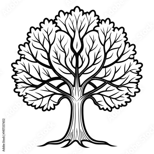  Vivid London Plane Tree Illustration