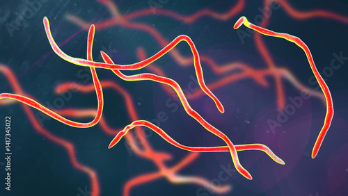Photography Brachyspira pilosicoli, 3D illustration showing spiral-shaped anaerobic bacteriu