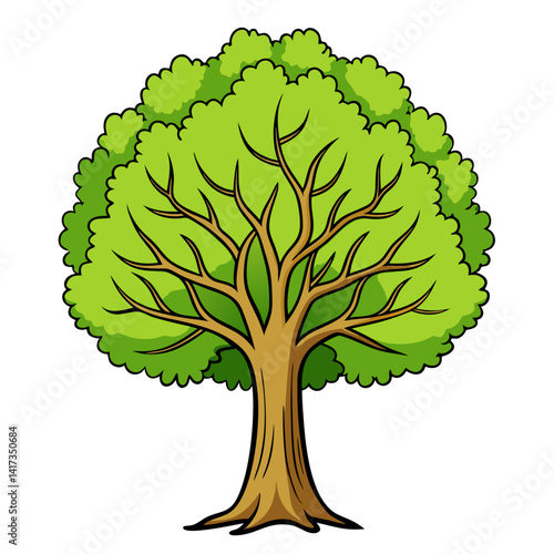  Striking Illustration of Poplar Tree