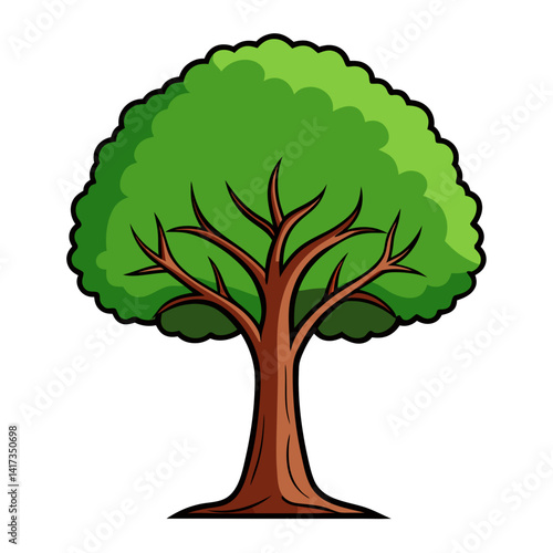  Beautiful Poplar Tree Representation