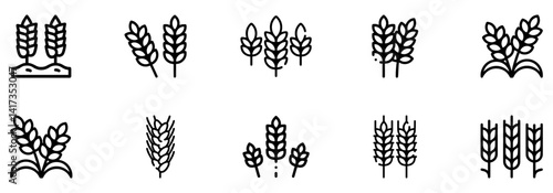 Wheat icon. Wheat ears icon set. Wheat logo. Grain spikes set icons. Grain icon. Agriculture symbol. Vector Illustration. EPS 10