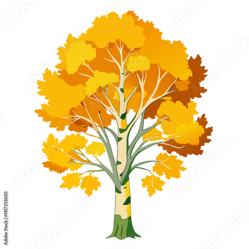  Bold Trembling Aspen Tree Illustration with Clear Outline