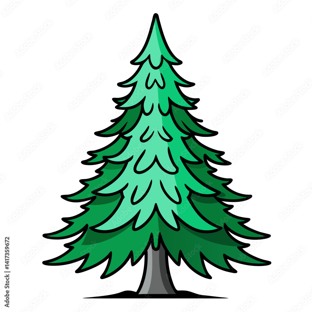 Bold Illustration of White Spruce Tree Bold Illustration of White Spruce Tree