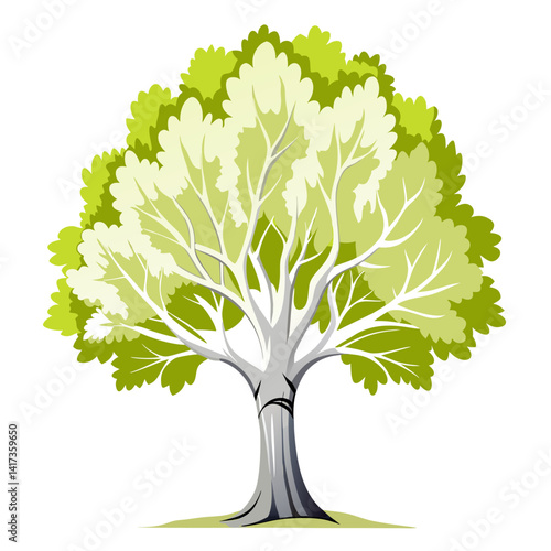  Bold Illustration of White Poplar Tree