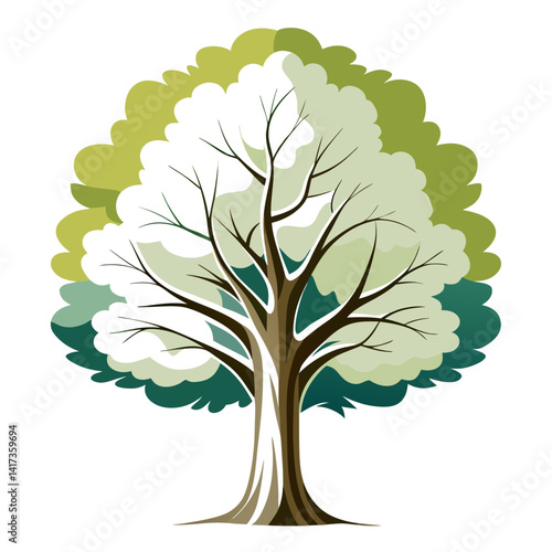  Stunning Outline of White Poplar Tree