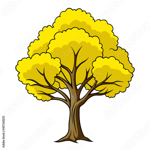  Stunning Outline of Yellow Poplar Tree